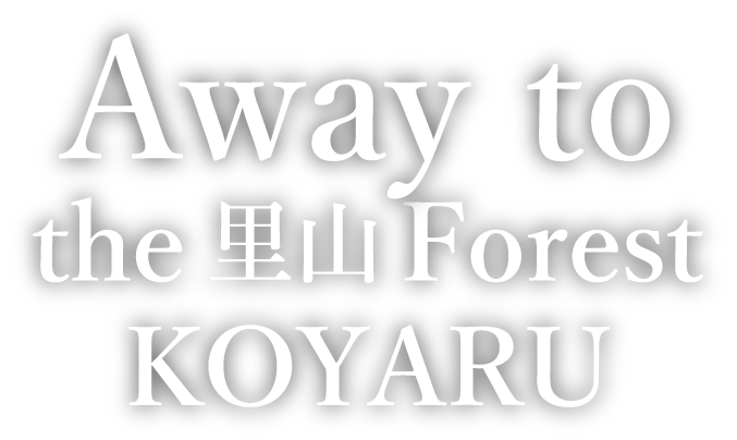 Away to the 里山 Forest KOYARU