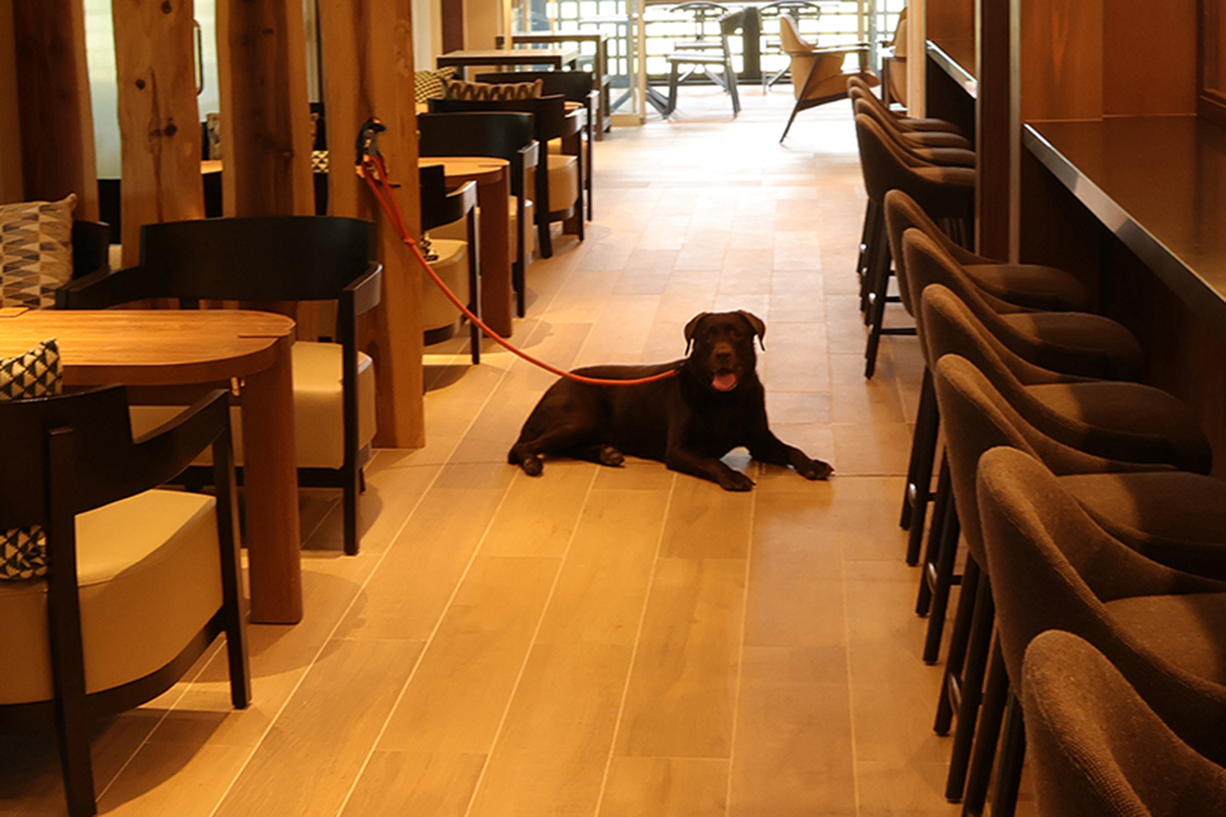 愛犬と一緒に利用できる店内スペース